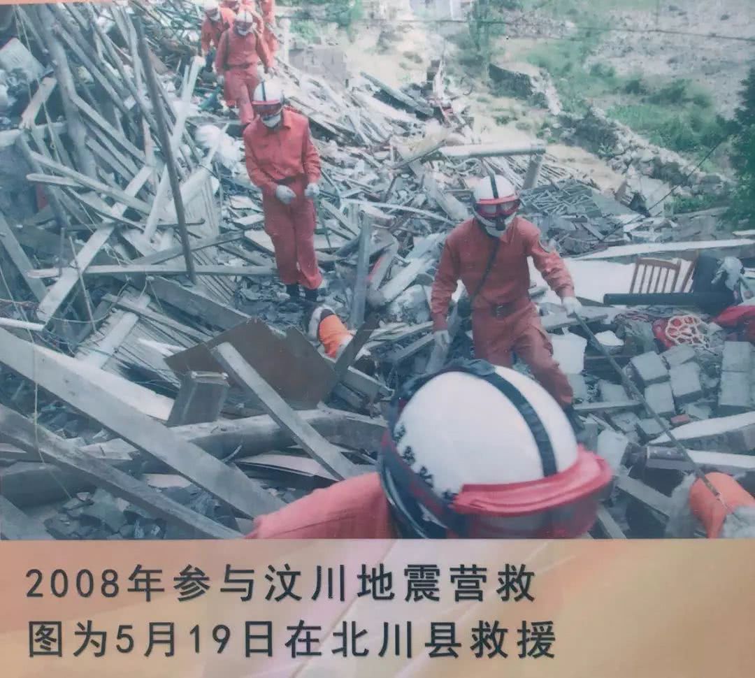 细数那些汶川地震中救人无数的搜救犬们